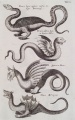 Thumbnail for version as of 13:45, 13 September 2024